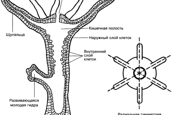 Ссылка на кракен лукойл