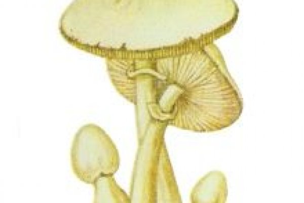 2krn