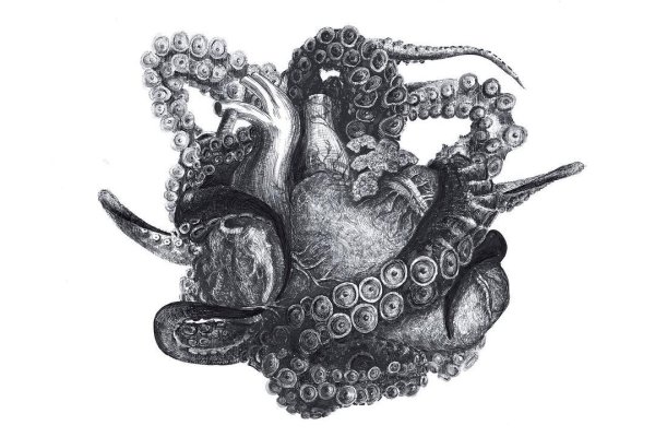 Kraken darknet зеркала кракен обход