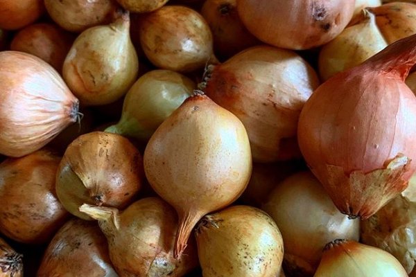 Сайт кракен официальный ссылка onion