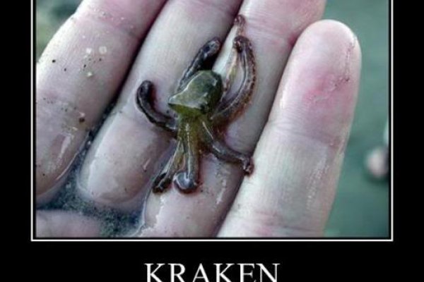 2kr pro kraken