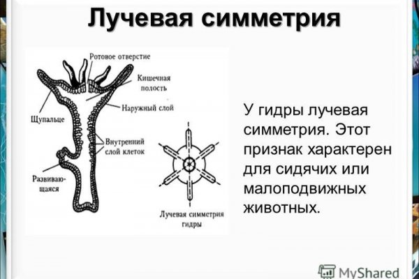 Какая сейчас ссылка на кракен