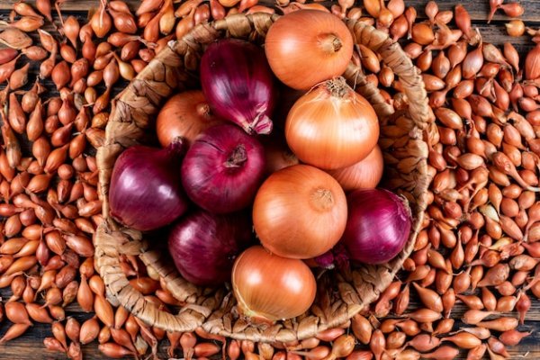 Купить наркотики онлайн